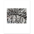 00775852-0509-4fb2-801f-67b6494e874f