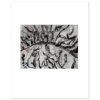 2eec8791-7cac-45de-886b-7cca2cb6acfd