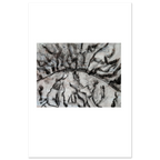 3f50a65f-2fff-405c-836c-4770c6a67560