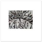 491cddf3-028f-4168-a200-738b2d940746