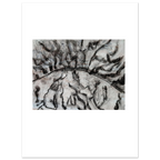 4e85f657-3cbe-499a-8ecf-ada6288ab4e9