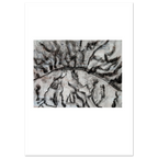 630e8325-6476-448a-9734-4354dbdaeaa5