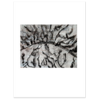 8c9a3b7d-b4db-4eb5-b462-bd0239f90139