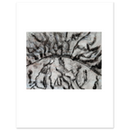 df770016-d6cd-4132-b68b-e03043ee3021