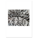 fc26cb7e-6ad7-4dd6-bd37-335262ec41d9